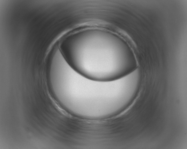 X0000083571114200702090808