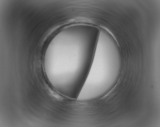 X0000083571115200702090808
