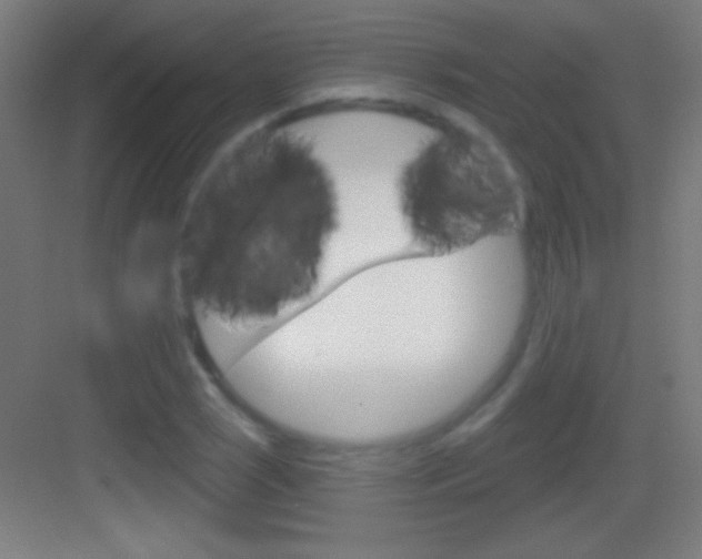 X0000083571121200702090808