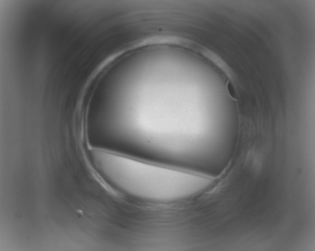 X0000083571127200702090808