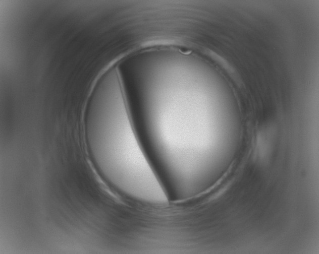 X0000083571129200702090808