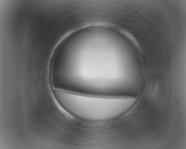 X0000083571135200702090808