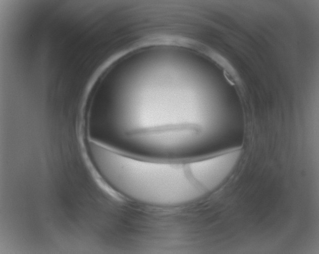 X0000083571136200702090808