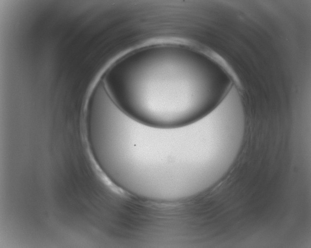 X0000083571140200702090808