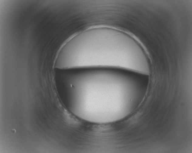 X0000083571145200702090808