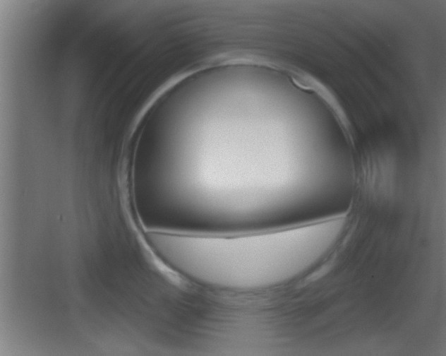 X0000083571149200702090808
