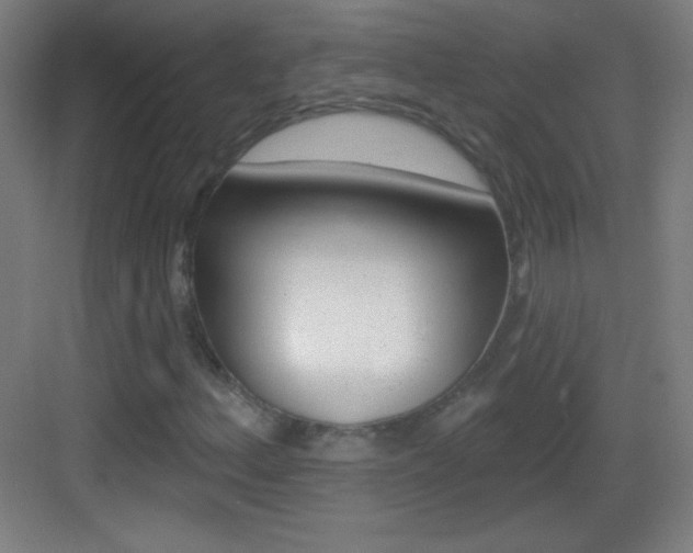 X0000083571156200702090808