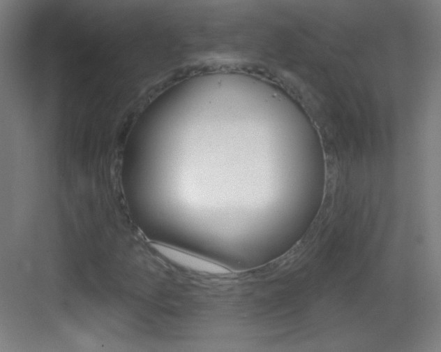 X0000083571157200702090808