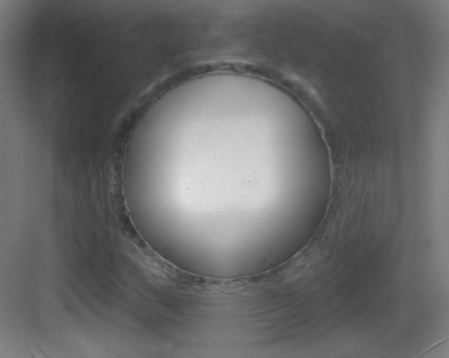 X0000083571159200702090808
