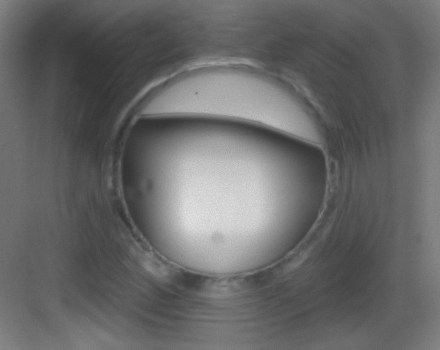 X0000083571165200702090808