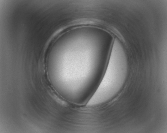 X0000083571172200702090807
