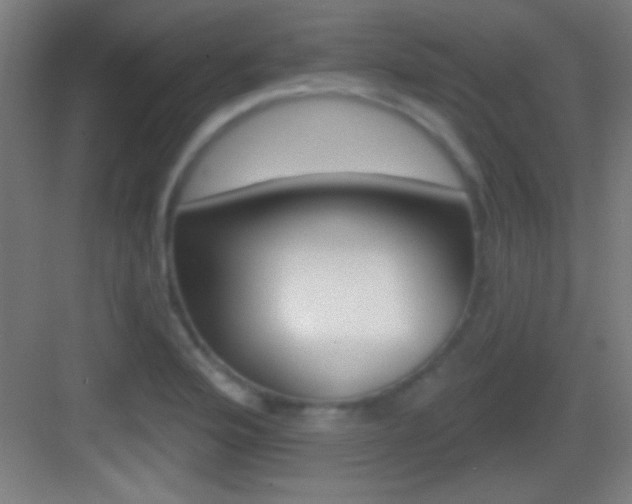 X0000083571176200702090807