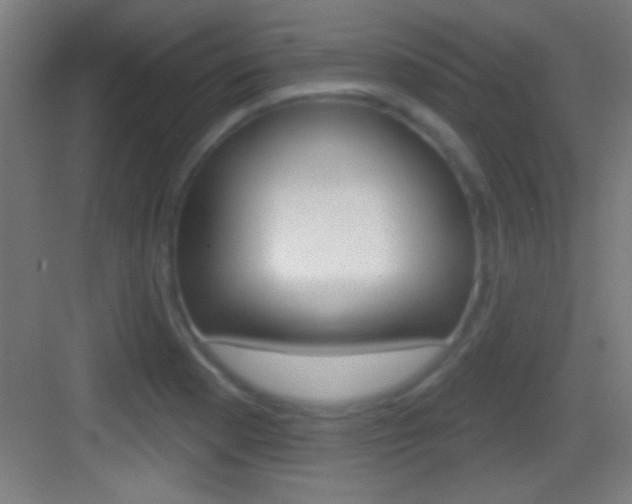 X0000083571177200702090807