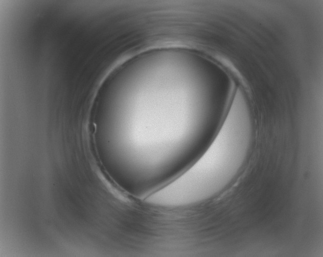 X0000083571181200702090807