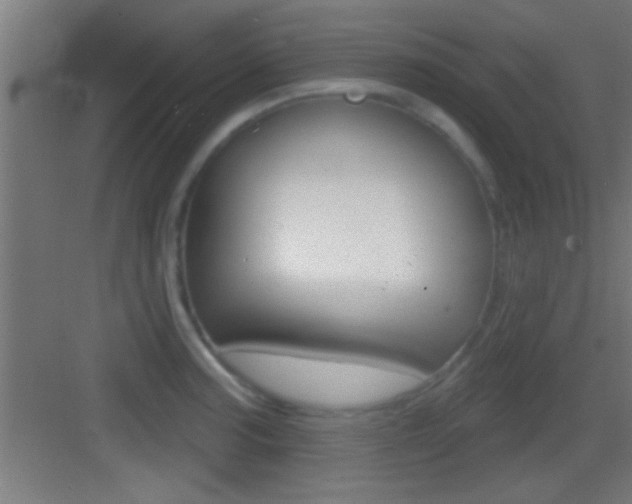 X0000083571187200702090807