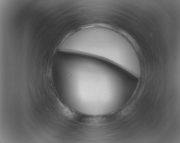 X0000083571193200702090807