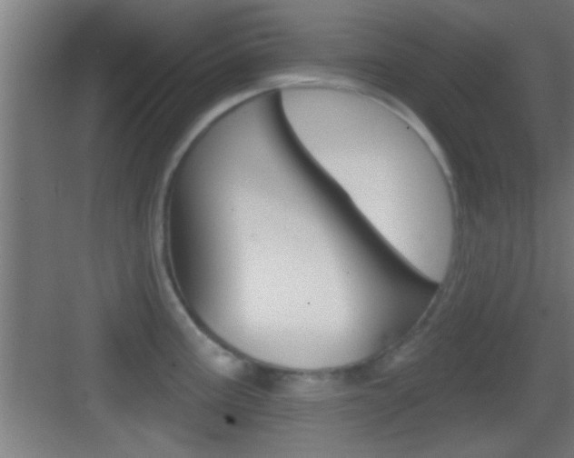 X0000083571195200702090807