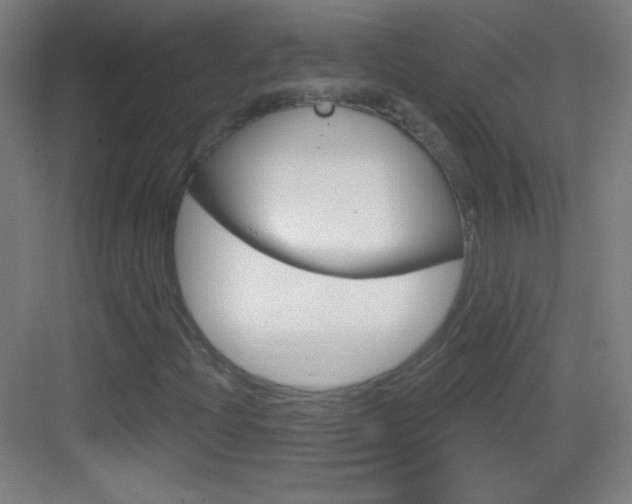 X0000083571204200702090806
