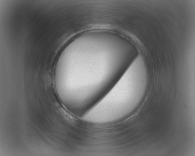 X0000083571212200702090806