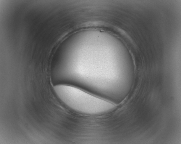 X0000083571217200702090806