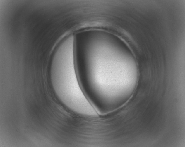 X0000083571218200702090806