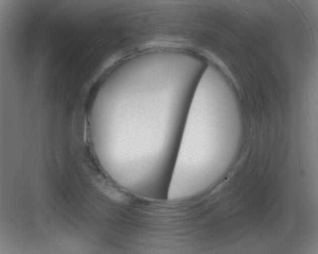 X0000083571219200702090806