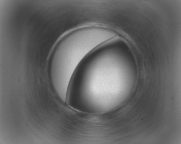 X0000083571222200702090806