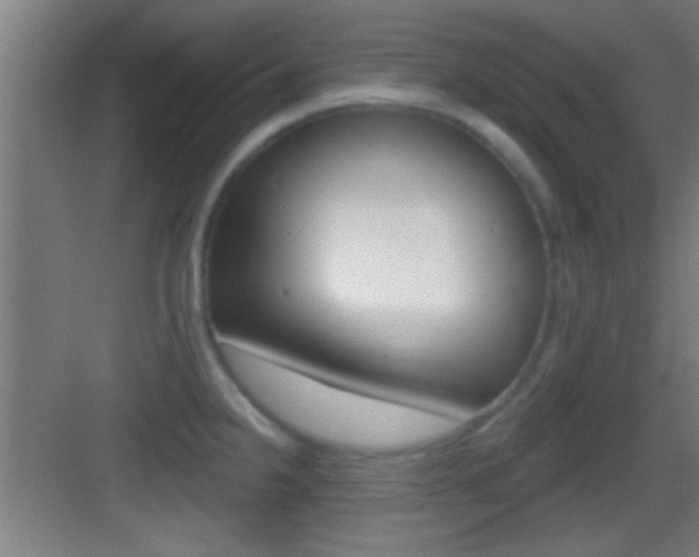 X0000083571238200702090807