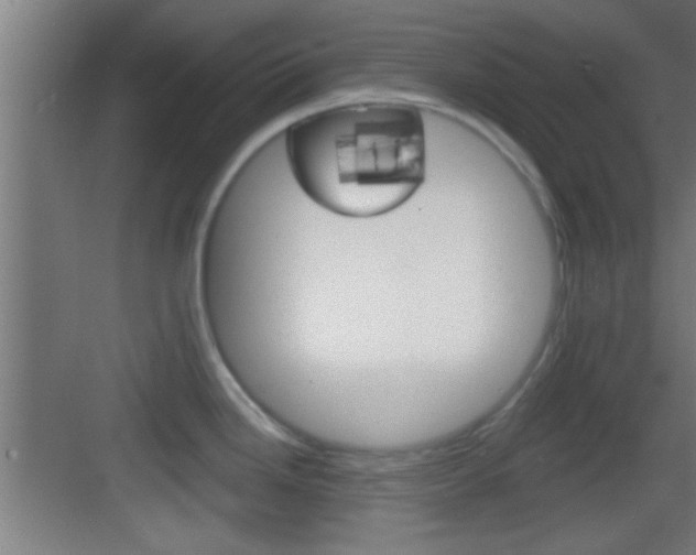 X0000083571246200702090807