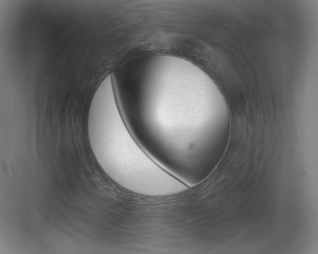 X0000083571250200702090806