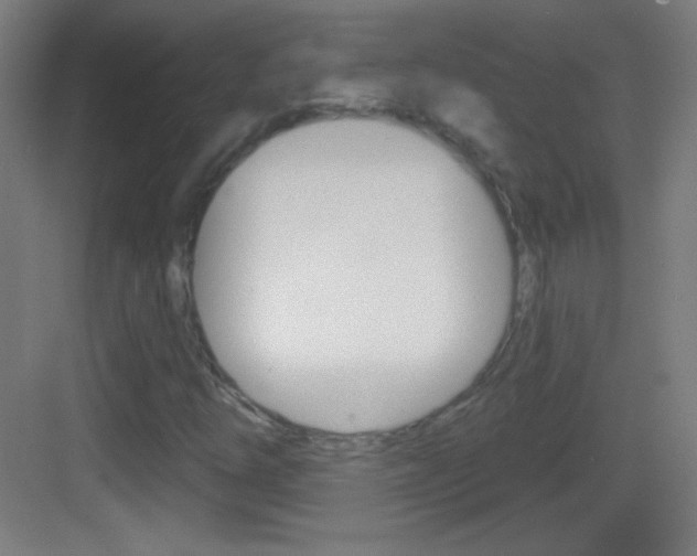 X0000083571254200702090806