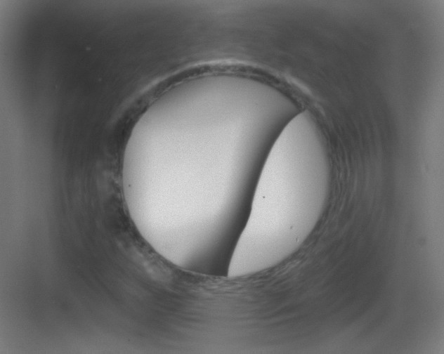 X0000083571255200702090806