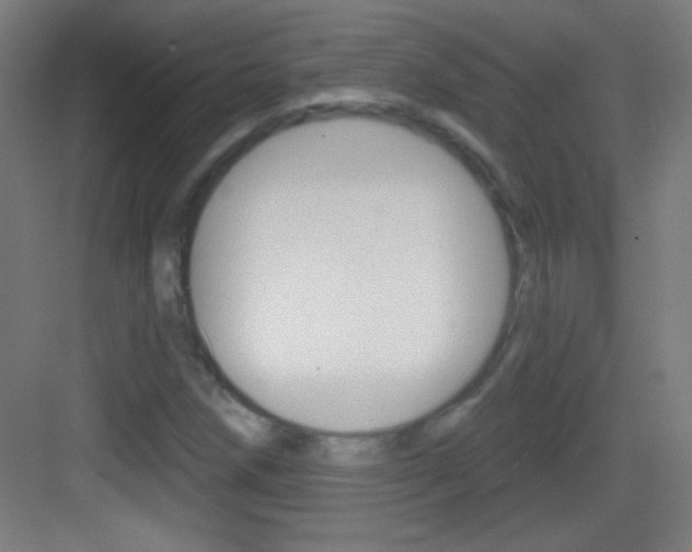 X0000083571258200702090806