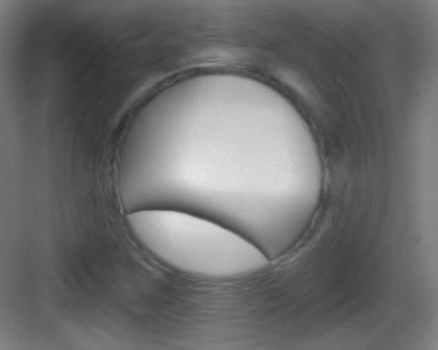 X0000083571259200702090806