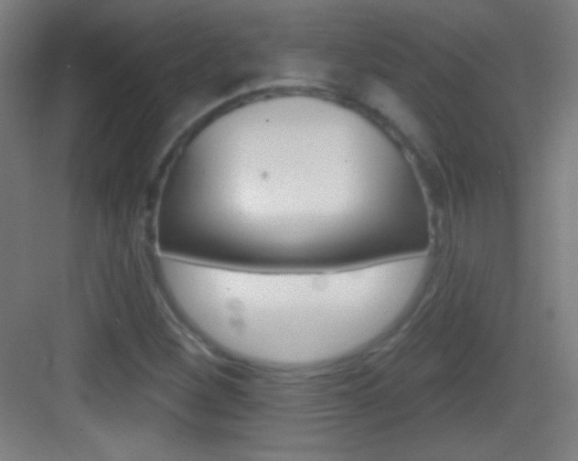X0000083571260200702090806