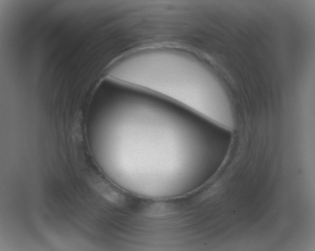 X0000083571265200702090806