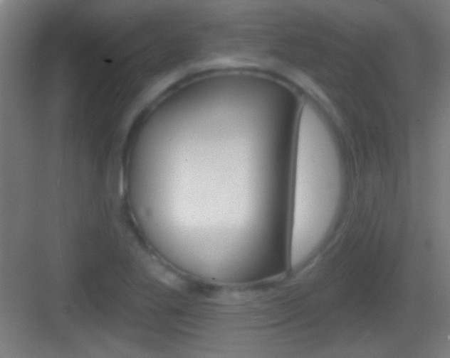 X0000083571269200702090806