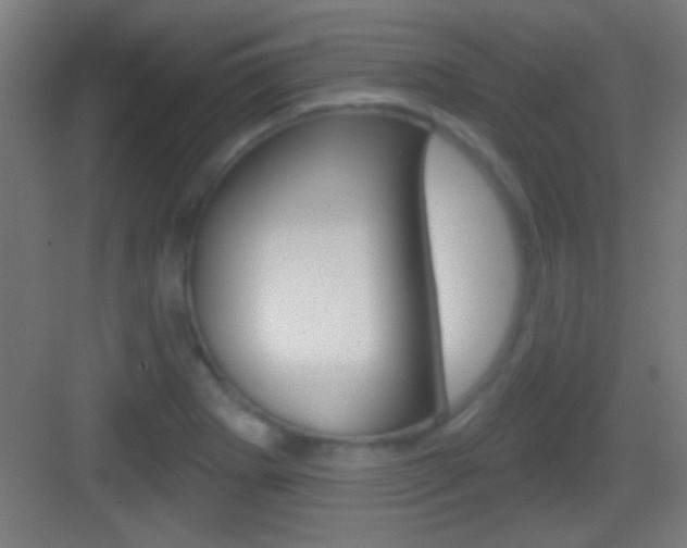 X0000083571273200702090806