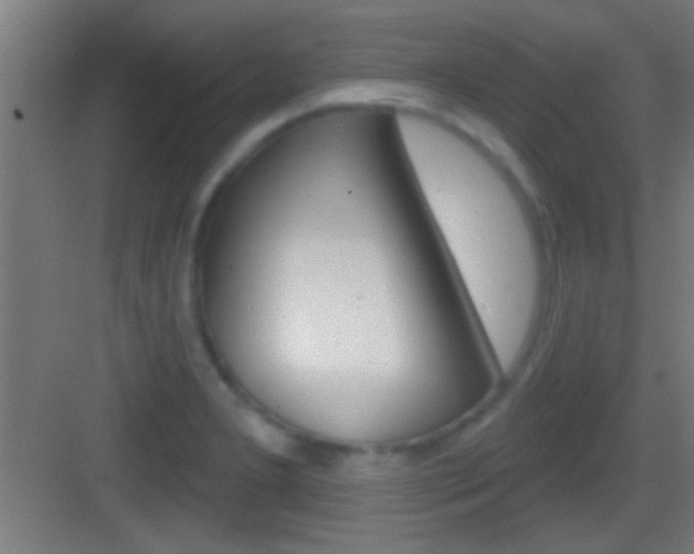 X0000083571277200702090806