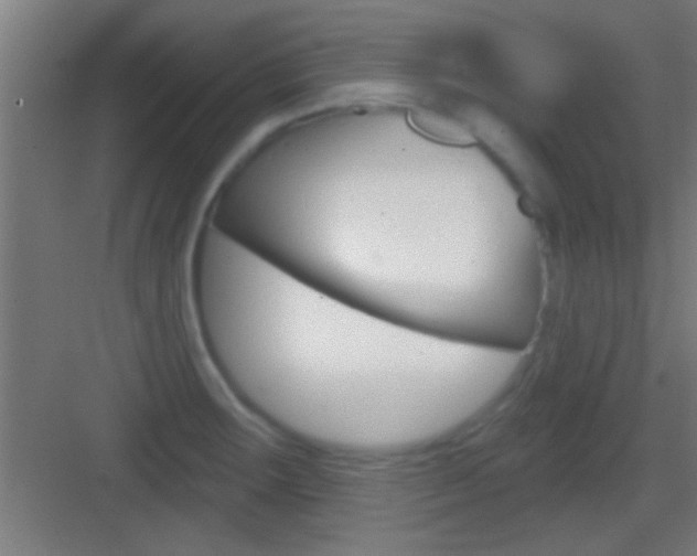 X0000083571283200702090806