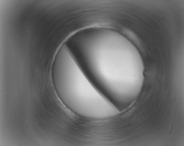 X0000083571284200702090806