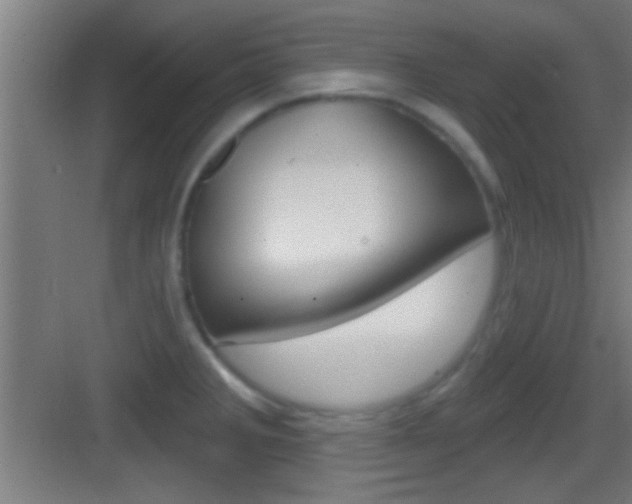 X0000083571285200702090805