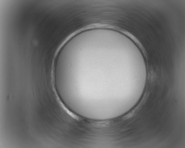 X0000083571294200702090805