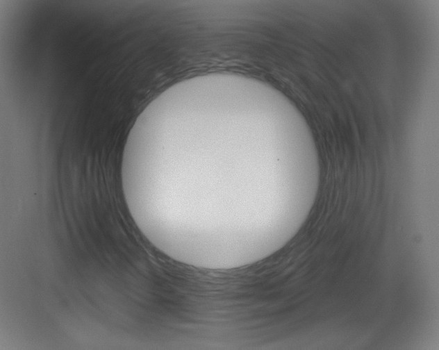 X0000083571298200702090805