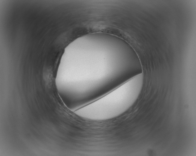 X0000083571299200702090805