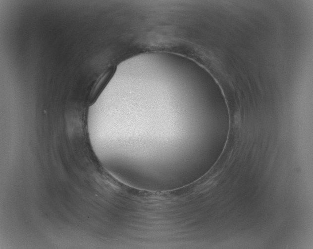 X0000083571300200702090805