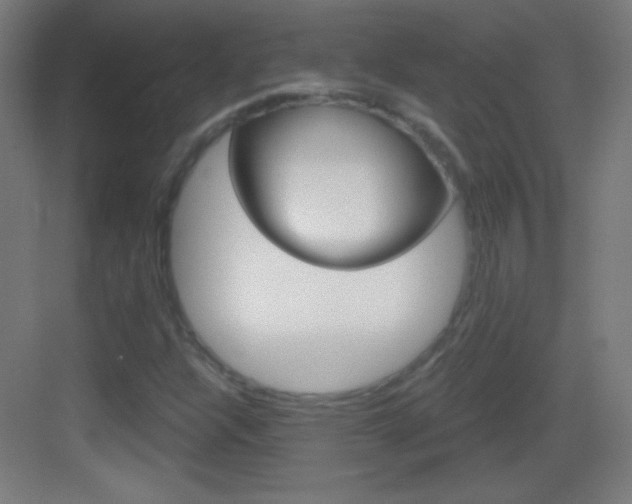X0000083571304200702090805