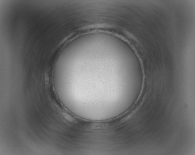 X0000083571305200702090805