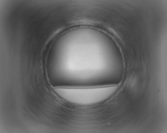 X0000083571307200702090805