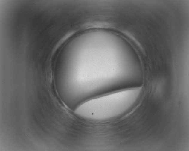 X0000083571317200702090805